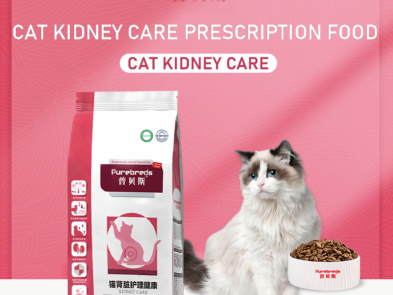 Cat Kidney Care Precription Food