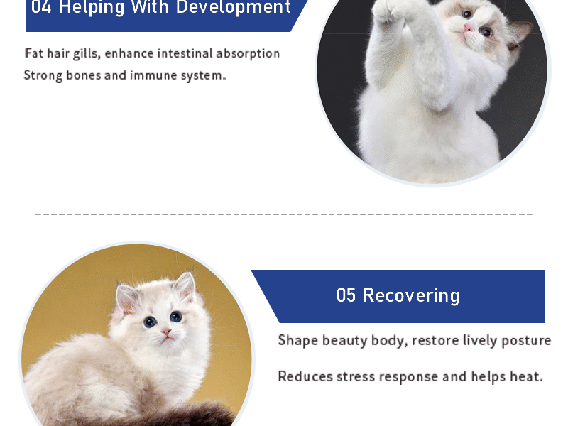 Cat Multivitamin