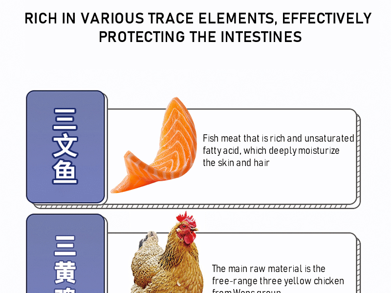Cat Intestinal Care precription Food