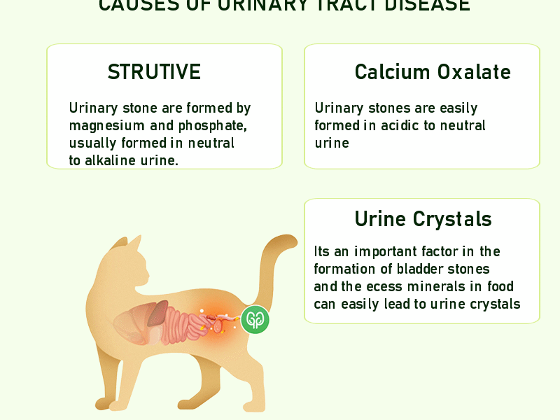 Urinary Tract Cat Foods